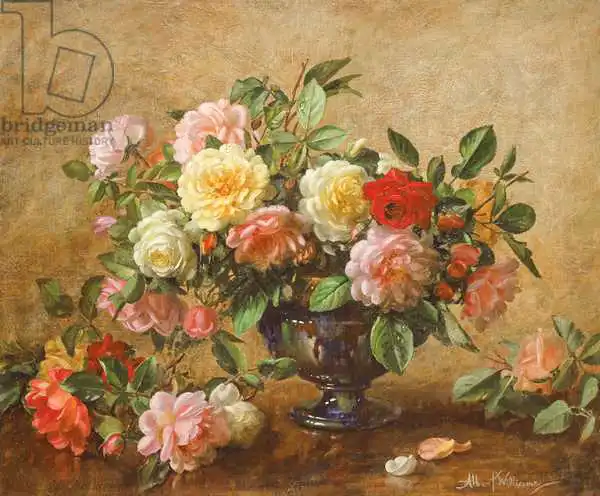 Williams, Albert: AB/110/2 All Beauty in a Summer Rose