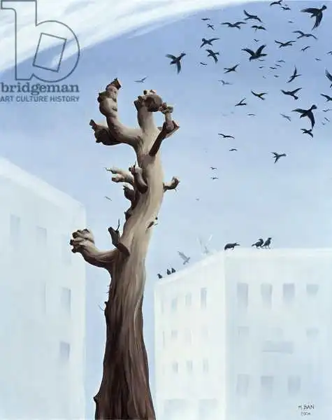Ban, Magdoln: Bestürzung, 2004