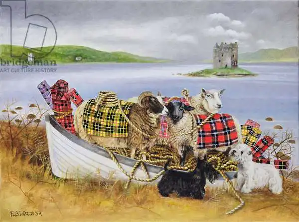 Watts, E.B.: Sheep with Tartan