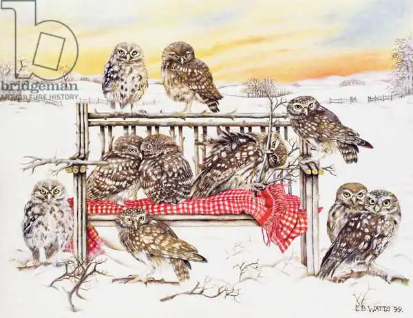 Watts, E.B.: Little Owls on Twig Bench