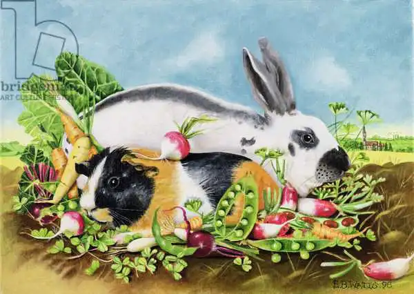 Watts, E.B.: Rabbit and Guinea Pig