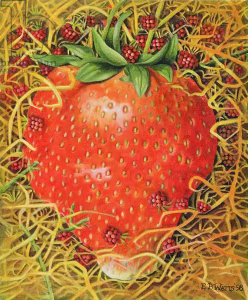 Watts, E.B.: Strawberry in Straw
