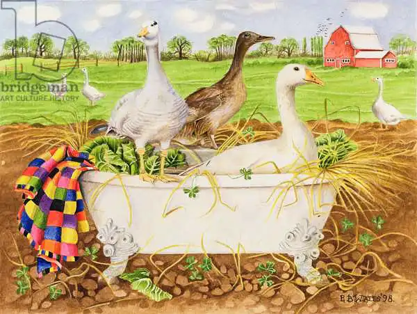 Watts, E.B.: Geese in Bathtub