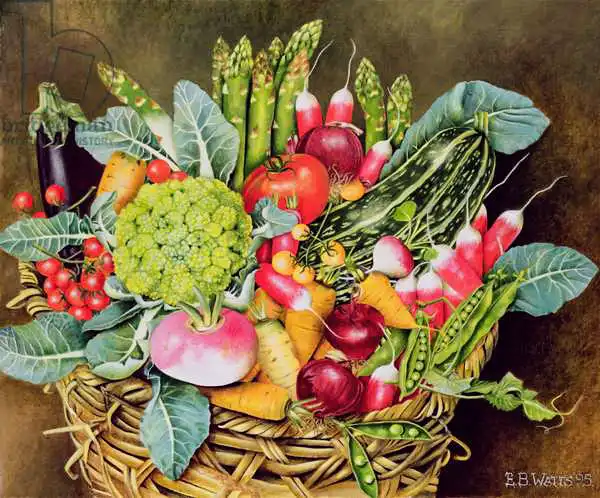 Watts, E.B.: Summer Vegetables