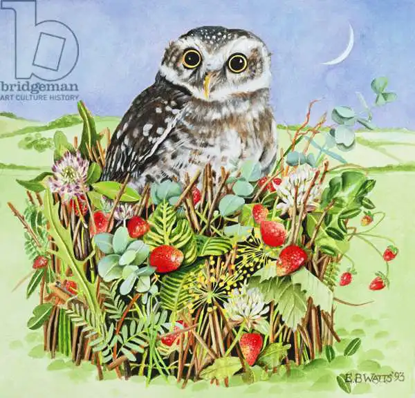 Watts, E.B.: Owl in a Woodland Basket