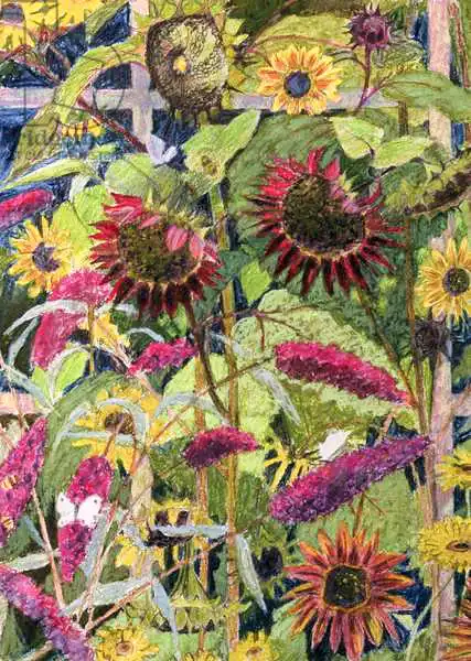Bullock, Rosalie: Fleurs du soleil