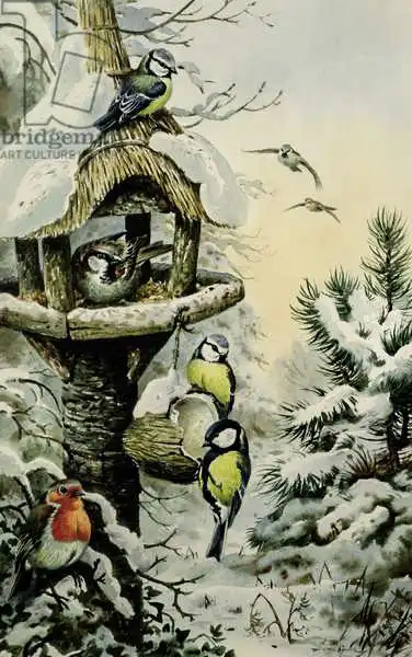 Donner, Carl: Winter Bird Table with Blue Tits, Great Tits, House Sparrows and a Robin