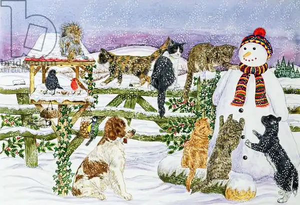 Bradbury, Catherine: The Snowman and his Friends