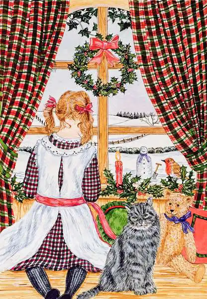 Bradbury, Catherine: Christmas morning at the window