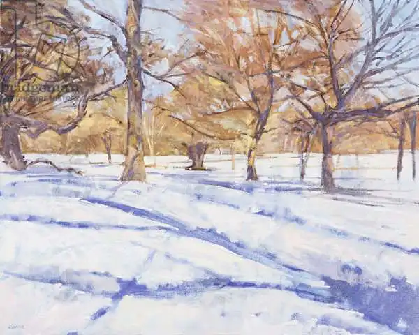 Glanville, Christophe: Invierno, Richmond Park