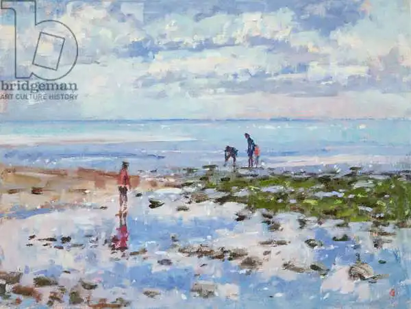 Glanville, Christophe: Marea baja Charmouth
