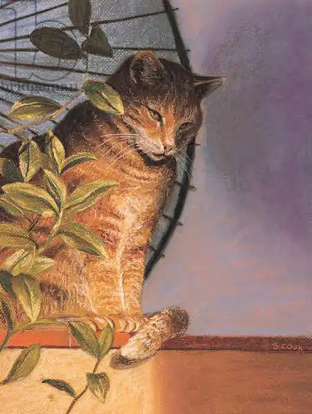 Cook, Simon: Contemplation