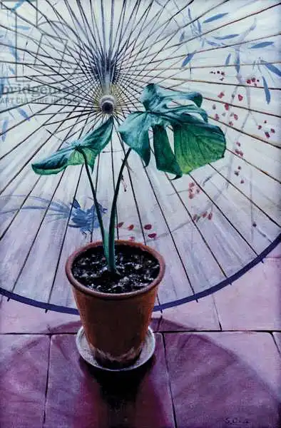 Cook, Simon: Chinese Umbrella