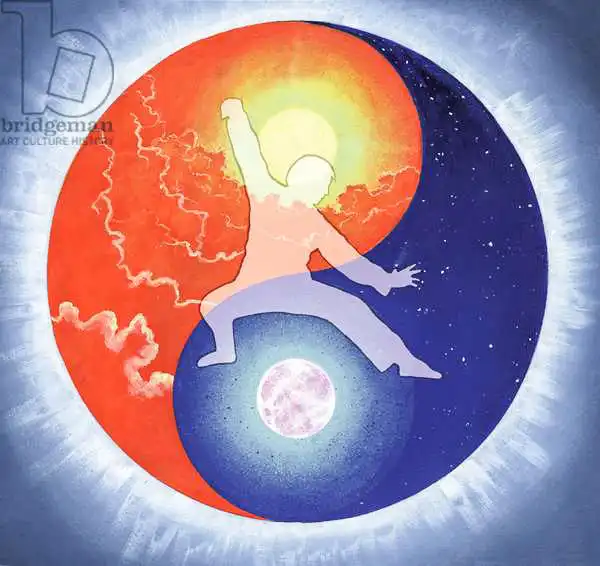 Cook, Simon: Yin Yang