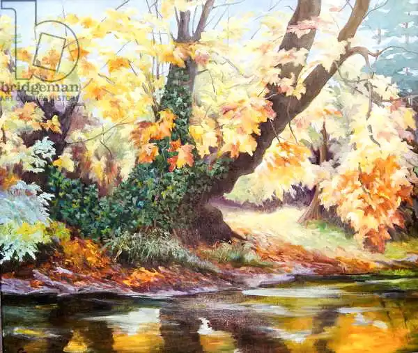 Angelini, Cristian: Autumn on the Darent