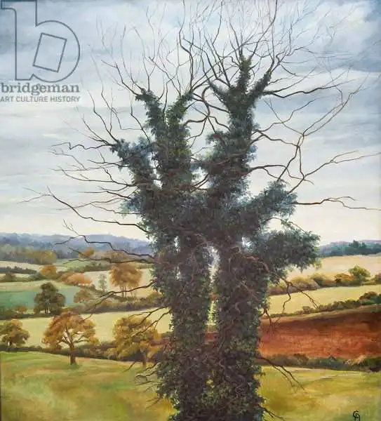 Angelini, Cristian: Winter Sky