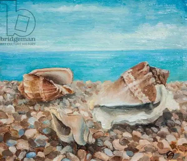 Angelini, Cristian: Three Shells