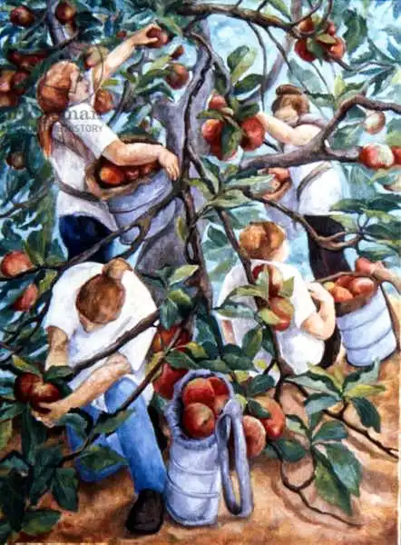 Angelini, Cristian: Apple Pickers