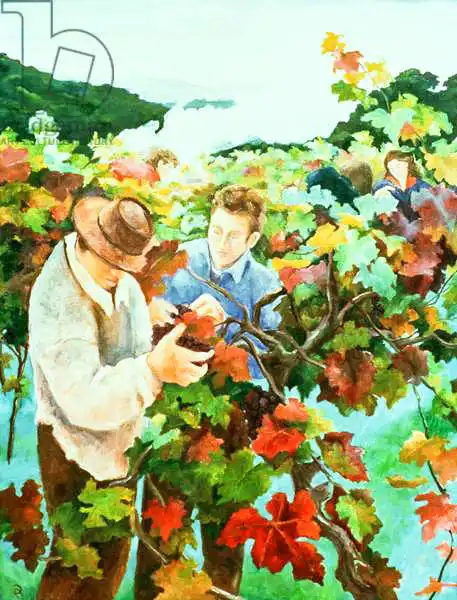 Angelini, Cristian: Grape Pickers