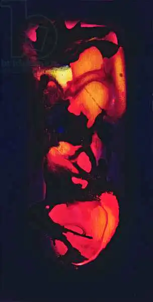 Deakin, Jan: Heart