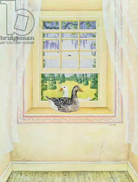 Ditz: Window Geese