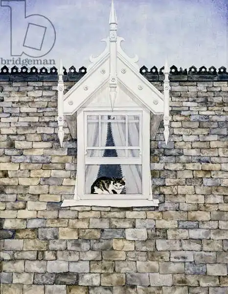 Ditz: St.Helier Dormer Cat