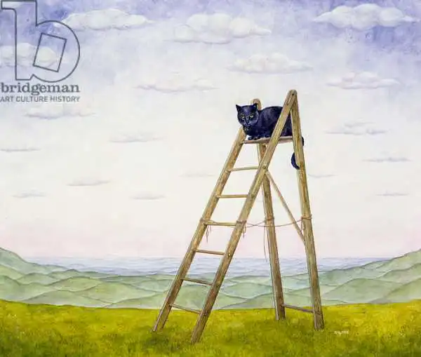 Ditz: The Ladder Cat