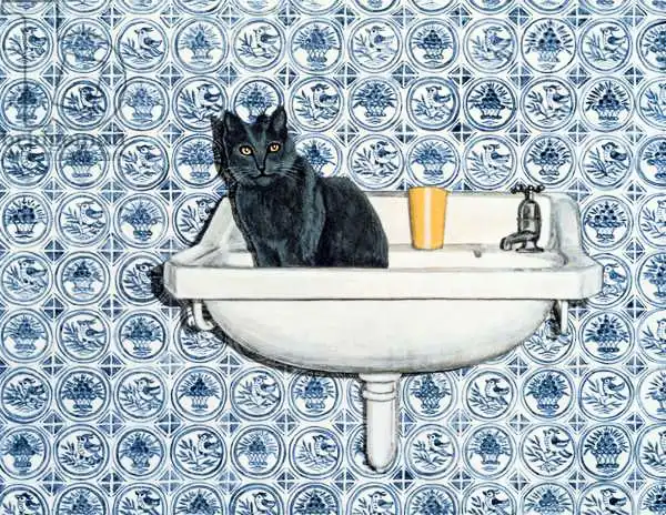 Ditz: My Bathroom Cat