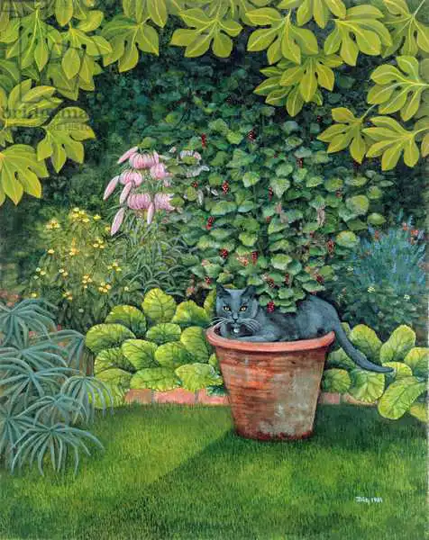 Ditz: The Flower-Pot Cat