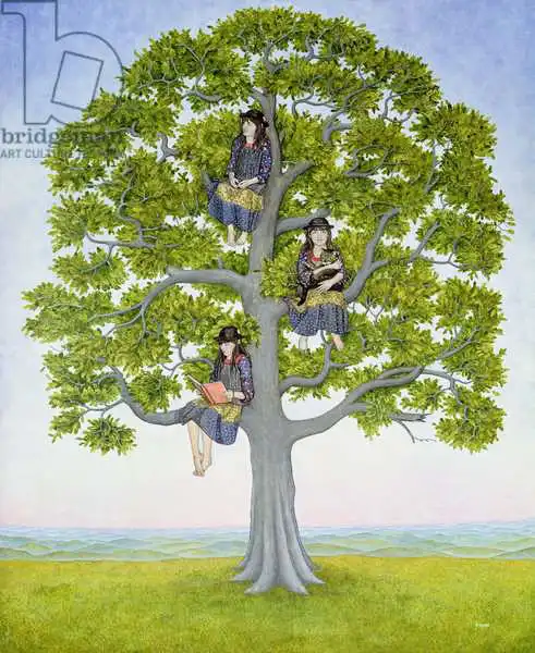 Ditz: The Tree