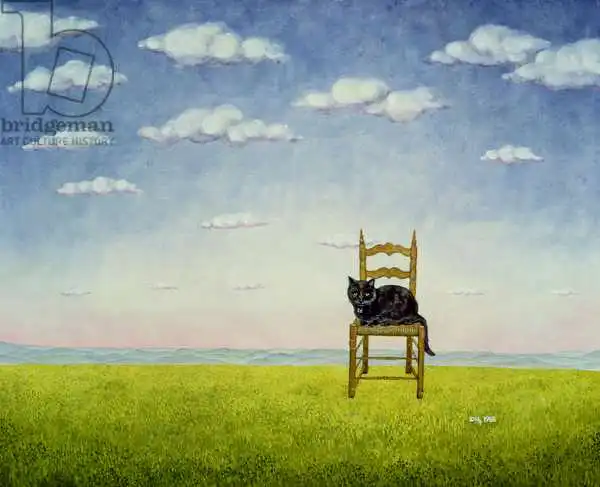 Ditz: The Chair Cat