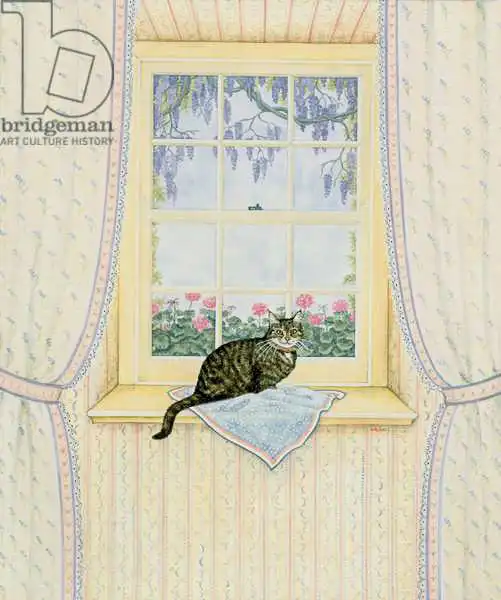 Ditz: Wisteria Cat