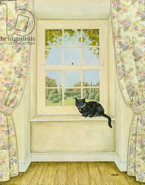 Ditz: The Window Cat