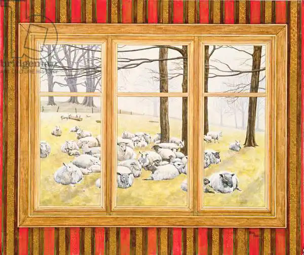 Ditz: The Sheep Window