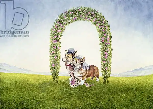 Ditz: The Royal Wedding