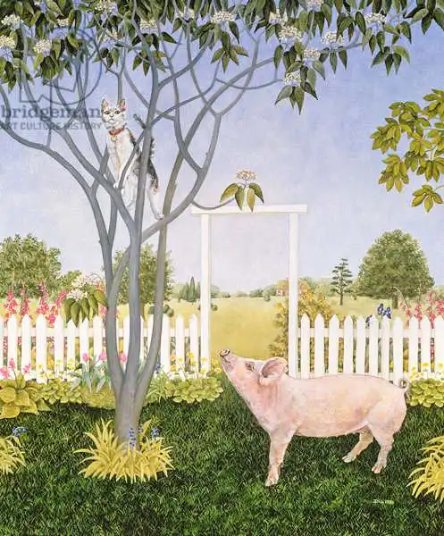 Ditz: Pig and Cat
