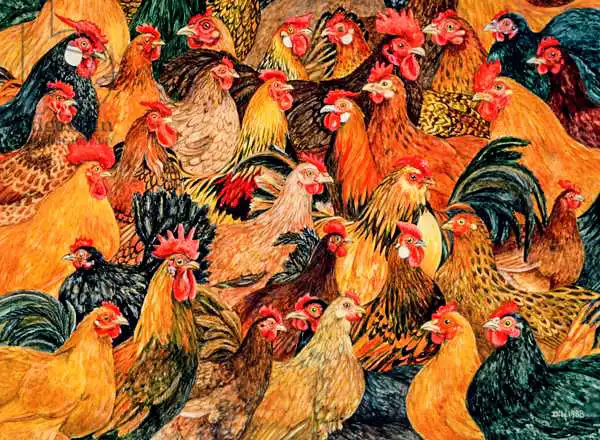 Ditz: Fine Fowl