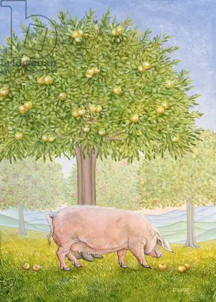 Ditz: Right Hand Orchard Pig