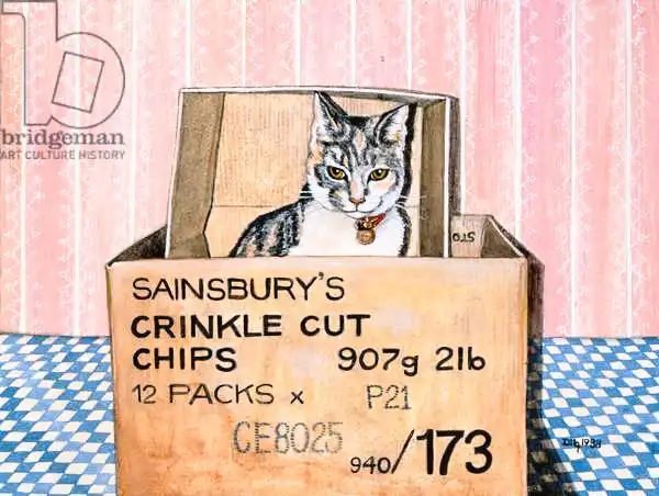 Ditz: Crinkle Cut Chips