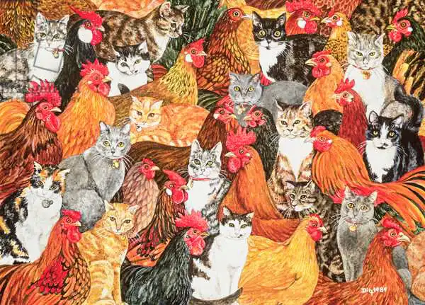 Ditz: Chicken-Cats