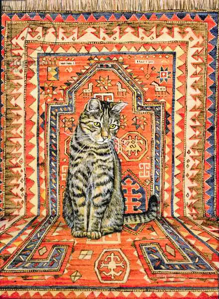Ditz: The Carpet-Cat
