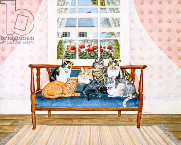 Ditz: Biedermeier-Cats