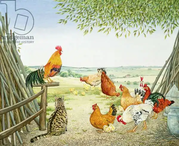 Ditz: The Fowl and the Pussycat