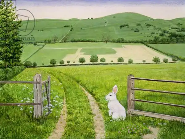 Ditz: Spring Rabbit