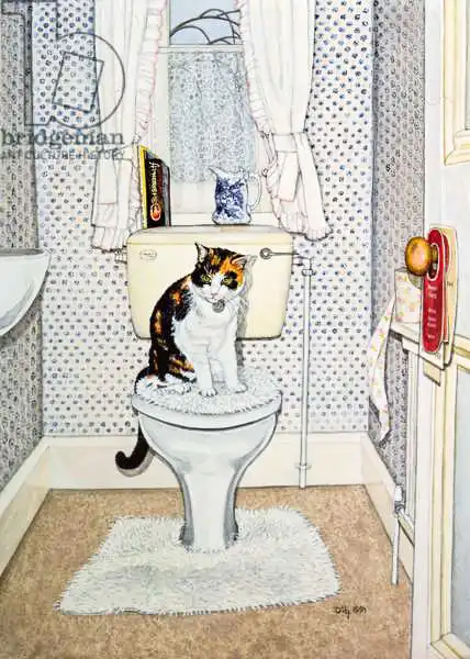 Ditz: Cat on the Loo