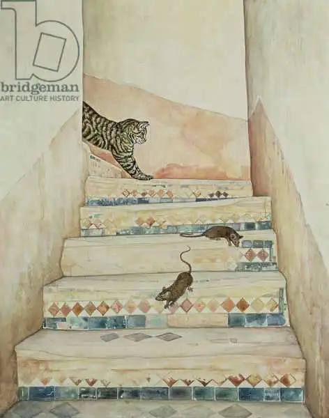 Ditz: Ben Youssef