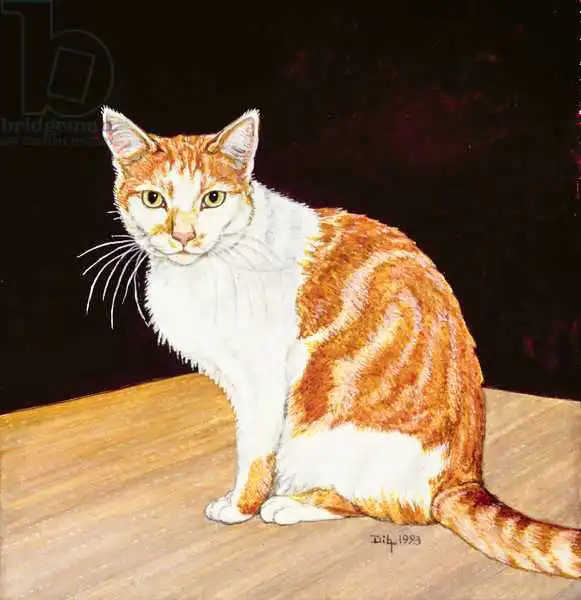 Ditz: Thomas