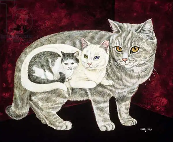 Ditz: Russian Cat