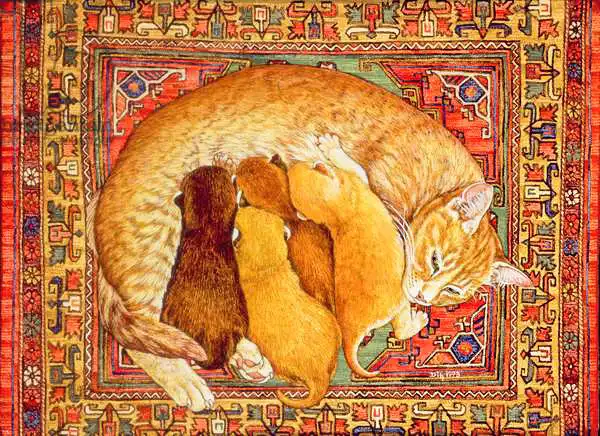 Ditz: Carpet-Kittens