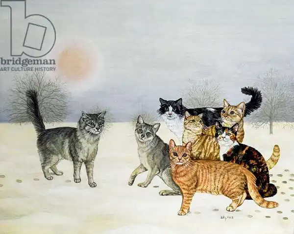 Ditz: Winter-Cats